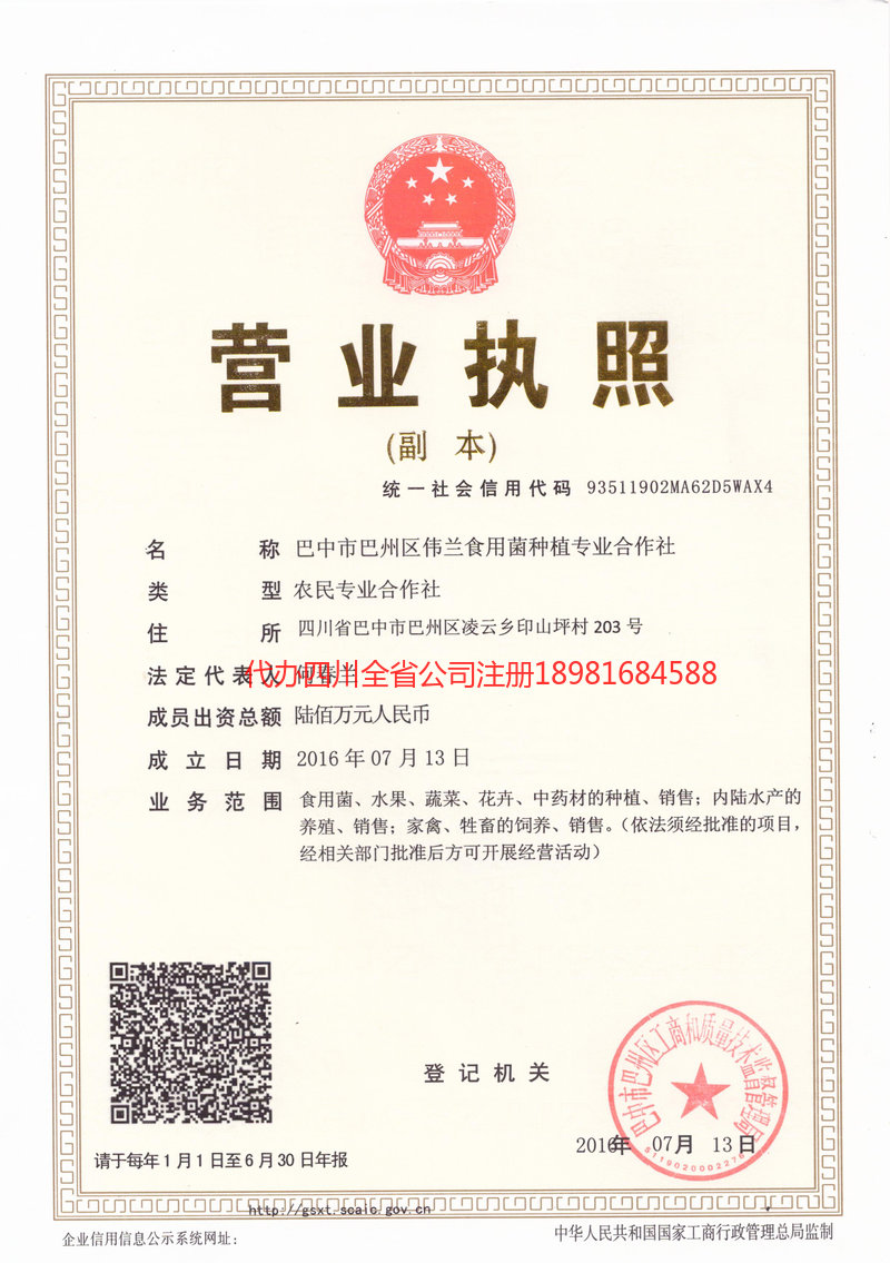 河池河池伟兰食用菌种植专业合作社